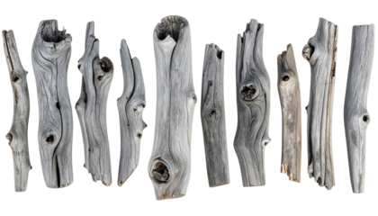 Collection of weathered, gray driftwood pieces against a transparent black background