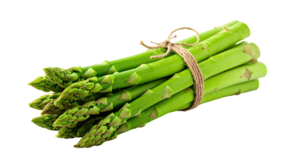 A fresh bundle of vibrant green asparagus spears tied together with natural twine