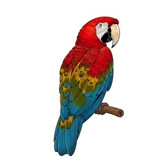 Vibrant Scarlet Macaw Perched on Branch - A Colorful Avian Portrait.