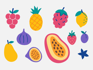 Vector Illustration of Colorful Fruit Icons in Modern Flat Style for Food Packaging and Market Design
