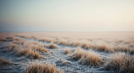 Obraz premium Crisp morning light over frosty prairie grass creates a serene landscape, perfect for evoking peace, stillness, and the beauty of winter landscapes
