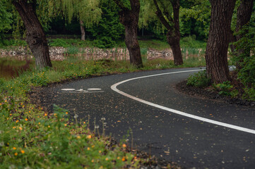 Serene forest road with curved black pavement, white lane markings, surrounded by lush green trees and nature scenery