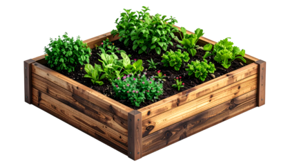 Thriving Raised Garden Bed: Fresh Organic Vegetables & Herbs in Wooden Planter, Isolated on Black Background