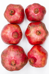 six grenades in two rows, top view