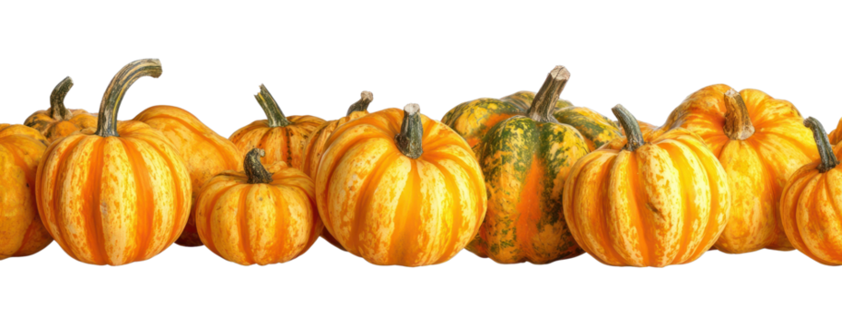 PNG Vibrant pumpkins on white background.