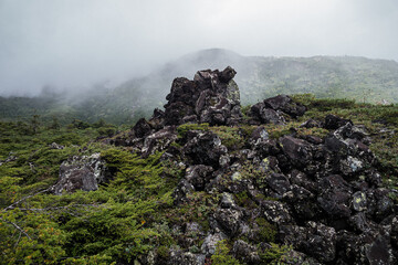 長野県八ヶ岳北横岳風が彫った坪庭