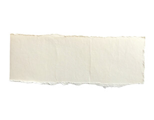 A torn piece of paper with deckled edges against a black background
