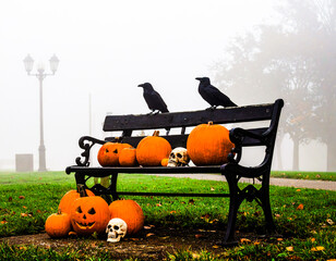 Ravens and Pumpkins Beneath the Foggy Streetlight