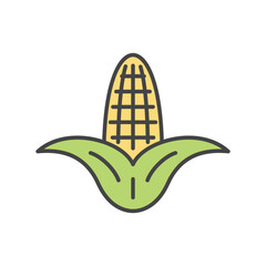 Corn on the cob illustration showing kernels and leaves