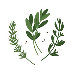 Obraz premium Fresh herbs drying with green sprigs and textured leaves, symbolizing natural preservation, culinary tradition, and the fragrance of seasonal harvest