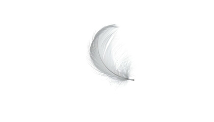 A lone, fluffy white feather, delicately detailed, floats against a stark black backdrop