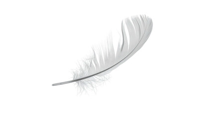 A single, pristine white feather gently floats against a stark, black background