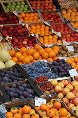 fruits and vegetables at the market