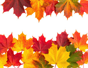 Colorful autumn maple leaves border a blank black space for text or design