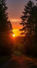 Golden Hour Through the Forest - A Serene Sunset View.