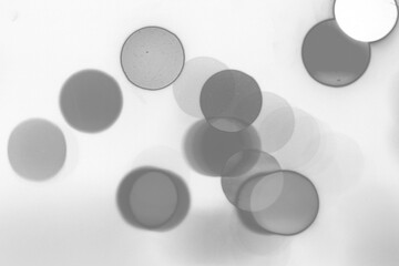 Soft Abstract Light Bokeh on White Background. Gentle abstract background with soft bokeh circles in gray and white tones. Minimal and clean texture for modern design and presentation