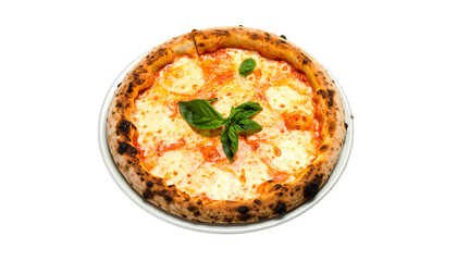 Delicious pizza with fresh basil leaves on a white plate.