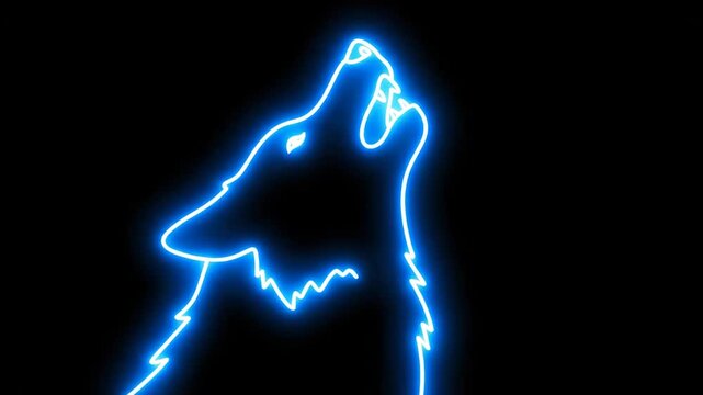 Blue Neon Wolf Silhouette on Black Background - A stylized video of a wolf howling, video in bright blue neon lines against a solid black backdrop.
