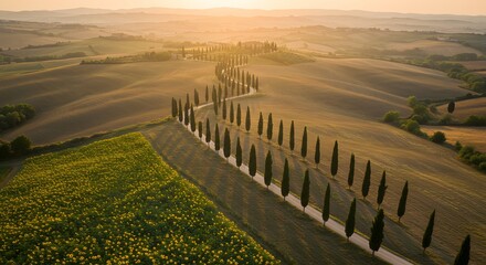 Obraz premium Tuscan countryside road with cypress trees