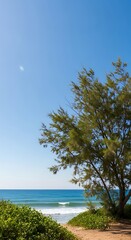 Coastal Serenity - A Tranquil Beach Scene with Lush Greenery.