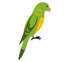 parrot on a branch