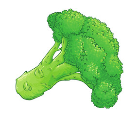 broccoli isolated on white