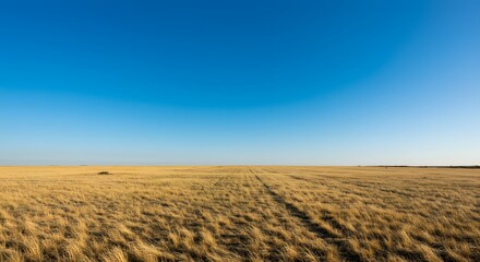 Fototapeta premium Vast golden prairie landscape