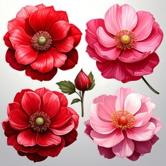 Watercolor-style floral arrangement of four vibrant blossoms