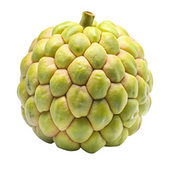 Fototapeta premium Custard apple isolated on transparent background