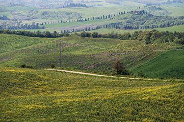 Obraz premium spring countryside landscape along the tuscany hills, Italy