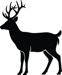Vector silhouette of standing deer buck with antlers illustration