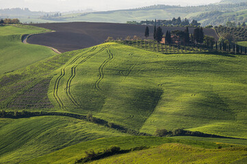 Obraz premium spring countryside landscape along the tuscany hills, Italy