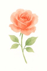 A beautiful watercolor painting of a rose. The flower has soft peach-colored petals and green leaves, with a delicate stem