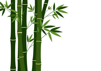 Green Bamboo Stalks with Leaves Illustration