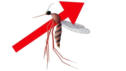 A 3d image features a mosquito against a white background, with a red arrow pointing through its body