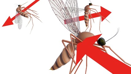 A 3d image features a mosquito against a white background, with a red arrow pointing through its body