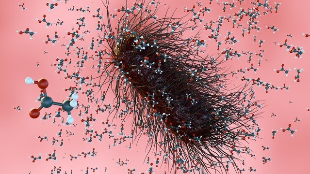 A 3D image illustration of Acetobacter bacterium with numerous flagella, surrounded by acetic acid molecules. This bacterium's role in producing acetic acid.