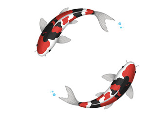 Two Colorful Koi Fish Swimming in Harmony Illustration.