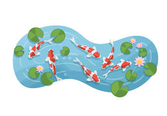 Koi Fish Swimming in a Pond with Lily Pads and Flowers.