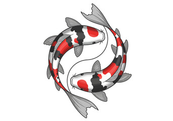 Two Koi Fish in Yin Yang Formation Red and Black Markings.