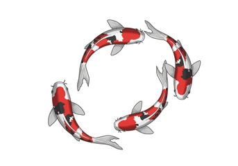 Four Koi Fish Swimming in a Circle Formation Red White and Black.