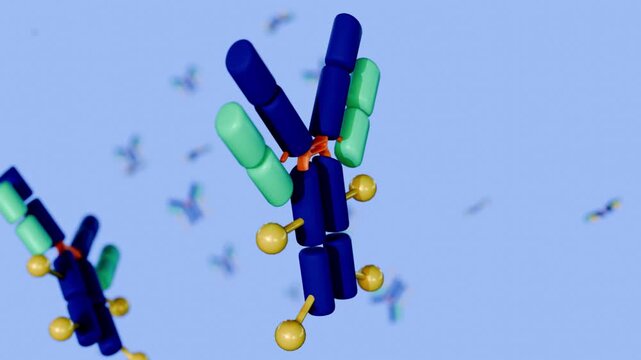 A 3D animation of multiple Y-shaped antibody molecules, foating around in the background, illustrating antibody-drug conjugates (ADCs).