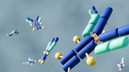 A 3D animation of multiple Y-shaped antibody molecules, foating around in the background, illustrating antibody-drug conjugates (ADCs). - Powered by Adobe