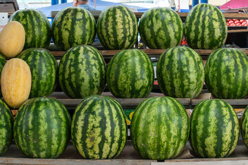 Watermelons and melons stacked at market stall with digital scale. Fresh watermelons and melons arranged in colorful display at local produce market under metal roof.