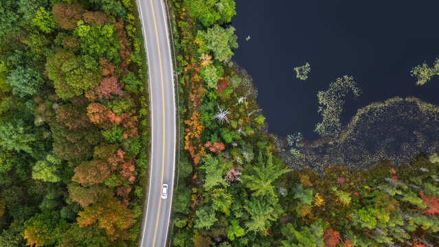 Aerial View of Curved Lake Road with Car Driving Through Autumn
