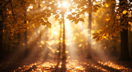 Golden sunbeams pierce through autumn forest canopy illuminating fallen leaves