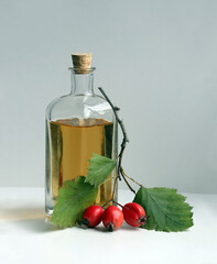  Autumn still life with homemade hawthorn tinkture in a vintage glass bottle, and with hawthorn leaves and berries on a light background.
