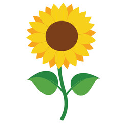 A vibrant yellow sunflower with green stem and leaves clearly displayed