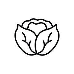Cabbage drawing in thick black lines