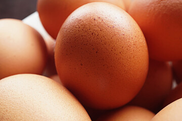 Fresh Organic Chicken Eggs from sustainable Natural Farm